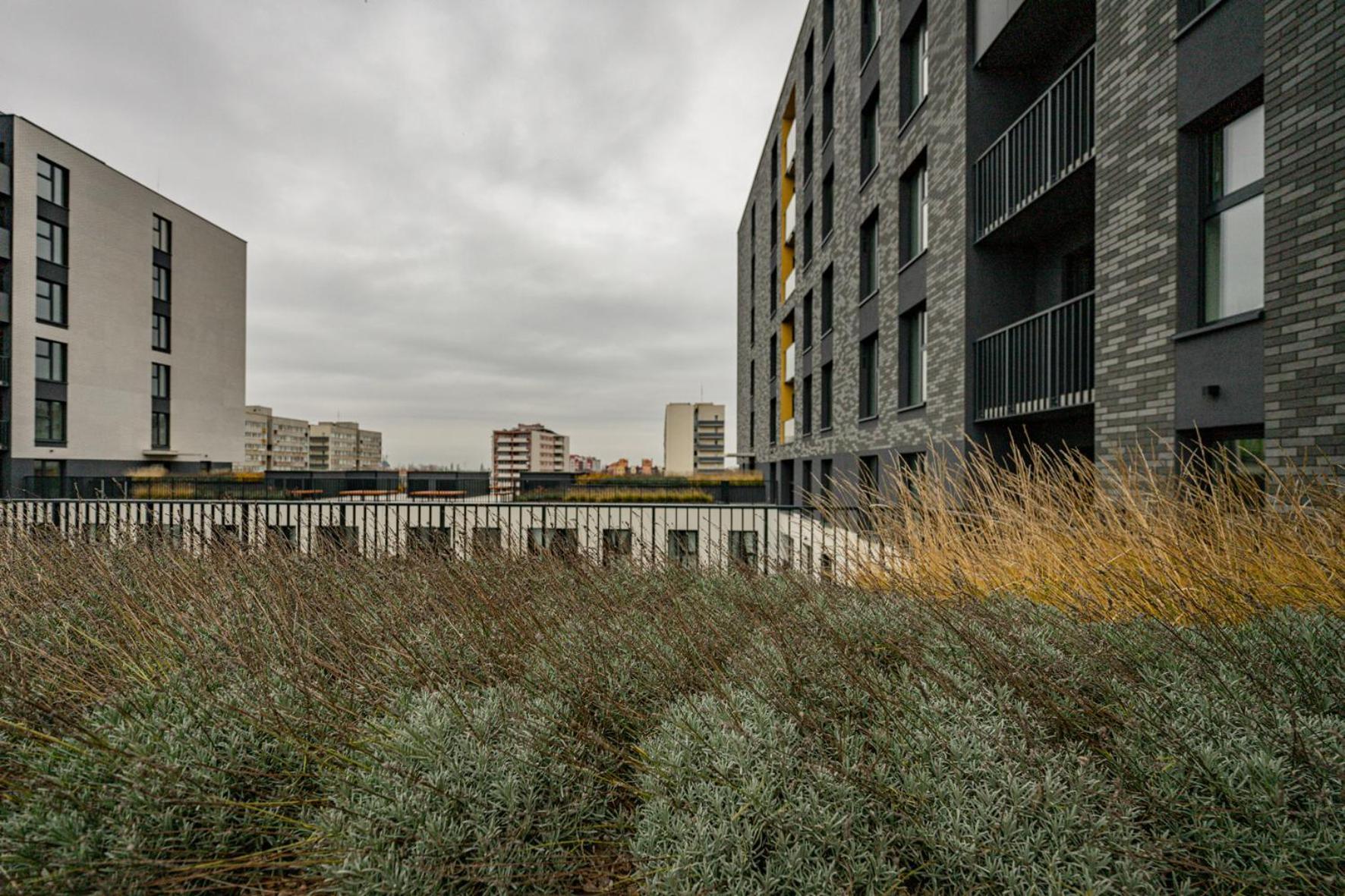 Legnicka Residence Apart Vratislav Exteriér fotografie